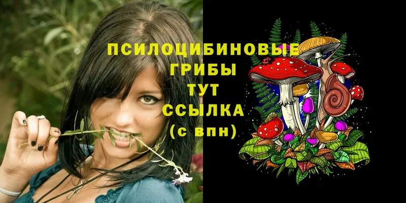 omg зеркало  Заречный  Псилоцибиновые грибы Psilocybine cubensis 