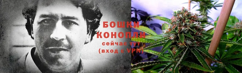 наркотики  Заречный  Каннабис Ganja 